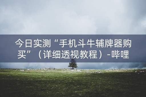 今日实测“手机斗牛辅牌器购买”（详细透视教程）-哔哩哔哩