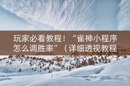玩家必看教程！“雀神小程序怎么调胜率”（详细透视教程）-哔哩哔哩