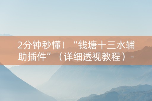 2分钟秒懂！“钱塘十三水辅助插件”（详细透视教程）-哔哩哔哩