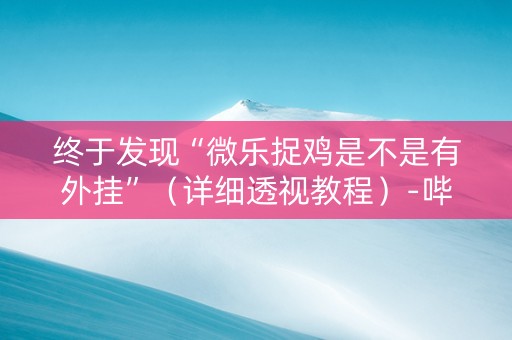 终于发现“微乐捉鸡是不是有外挂”（详细透视教程）-哔哩哔哩