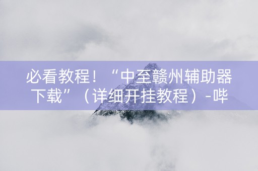 必看教程！“中至赣州辅助器下载”（详细开挂教程）-哔哩哔哩