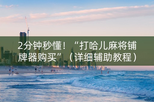 2分钟秒懂！“打哈儿麻将铺牌器购买”（详细辅助教程）-哔哩哔哩
