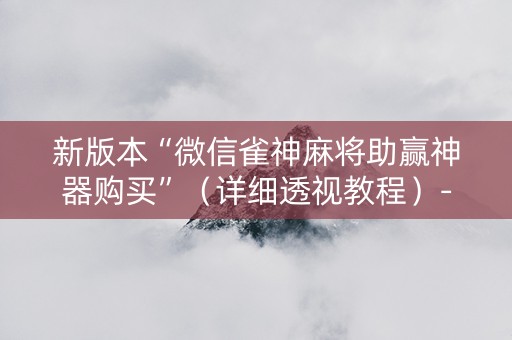 新版本“微信雀神麻将助赢神器购买”（详细透视教程）-哔哩哔哩