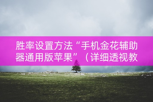 胜率设置方法“手机金花辅助器通用版苹果”（详细透视教程）-哔哩哔哩