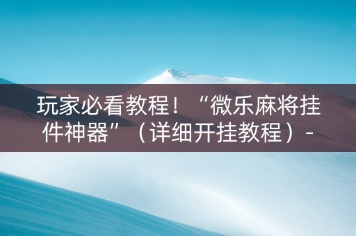 玩家必看教程！“微乐麻将挂件神器”（详细开挂教程）-哔哩哔哩