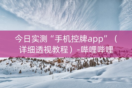 今日实测“手机控牌app”（详细透视教程）-哔哩哔哩