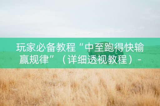 玩家必备教程“中至跑得快输赢规律”（详细透视教程）-哔哩哔哩