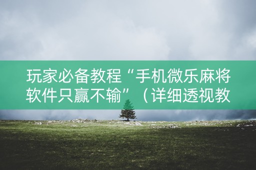 玩家必备教程“手机微乐麻将软件只赢不输”（详细透视教程）-哔哩哔哩