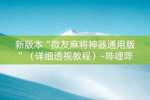 新版本“微友麻将神器通用版”（详细透视教程）-哔哩哔哩
