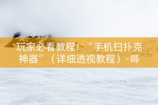 玩家必看教程！“手机扫扑克神器”（详细透视教程）-哔哩哔哩