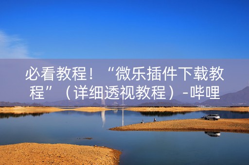 必看教程！“微乐插件下载教程”（详细透视教程）-哔哩哔哩