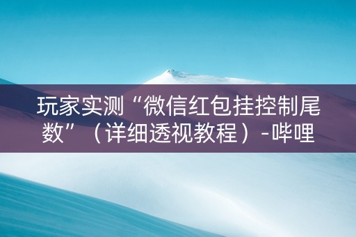 玩家实测“微信红包挂控制尾数”（详细透视教程）-哔哩哔哩