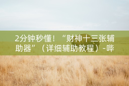 2分钟秒懂！“财神十三张辅助器”（详细辅助教程）-哔哩哔哩