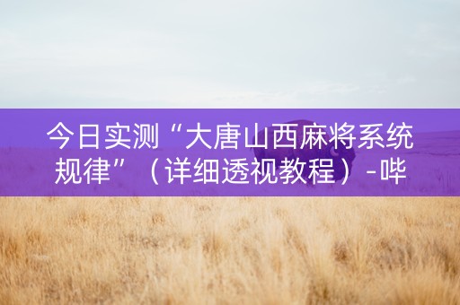 今日实测“大唐山西麻将系统规律”（详细透视教程）-哔哩哔哩