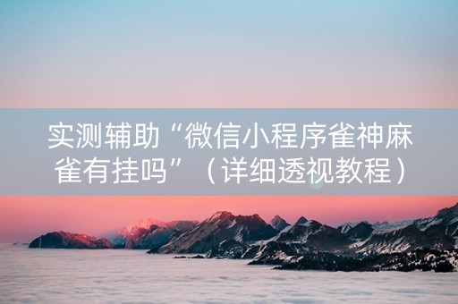 实测辅助“微信小程序雀神麻雀有挂吗”（详细透视教程）-哔哩哔哩