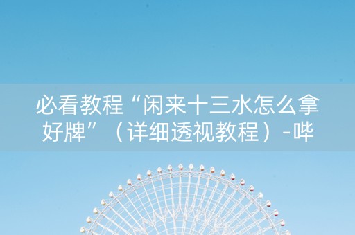 必看教程“闲来十三水怎么拿好牌”（详细透视教程）-哔哩哔哩