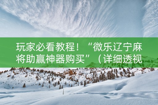 玩家必看教程！“微乐辽宁麻将助赢神器购买”（详细透视教程）-哔哩哔哩