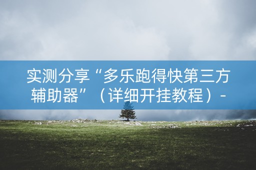 实测分享“多乐跑得快第三方辅助器”（详细开挂教程）-哔哩哔哩