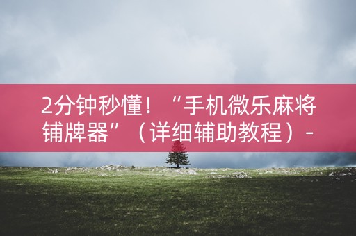 2分钟秒懂！“手机微乐麻将铺牌器”（详细辅助教程）-哔哩哔哩