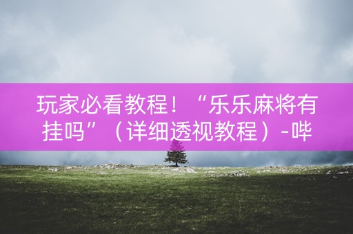 玩家必看教程！“乐乐麻将有挂吗”（详细透视教程）-哔哩哔哩