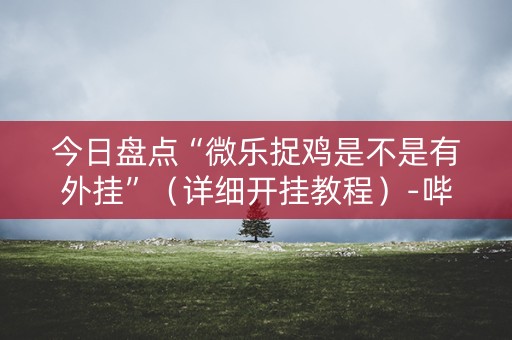今日盘点“微乐捉鸡是不是有外挂”（详细开挂教程）-哔哩哔哩