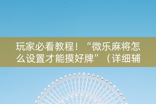 玩家必看教程！“微乐麻将怎么设置才能摸好牌”（详细辅助教程）-哔哩哔哩