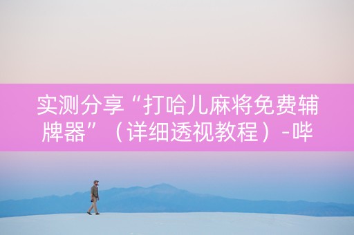 实测分享“打哈儿麻将免费辅牌器”（详细透视教程）-哔哩哔哩