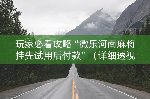 玩家必看攻略“微乐河南麻将挂先试用后付款”（详细透视教程）-哔哩哔哩