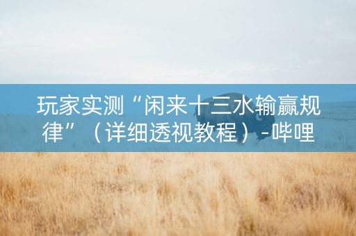 玩家实测“闲来十三水输赢规律”（详细透视教程）-哔哩哔哩