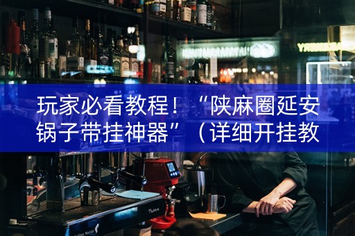玩家必看教程！“陕麻圈延安锅子带挂神器”（详细开挂教程）-哔哩哔哩