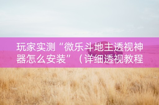 玩家实测“微乐斗地主透视神器怎么安装”（详细透视教程）-哔哩哔哩
