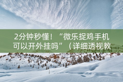 2分钟秒懂！“微乐捉鸡手机可以开外挂吗”（详细透视教程）-哔哩哔哩