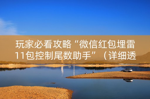 玩家必看攻略“微信红包埋雷11包控制尾数助手”（详细透视教程）-哔哩哔哩