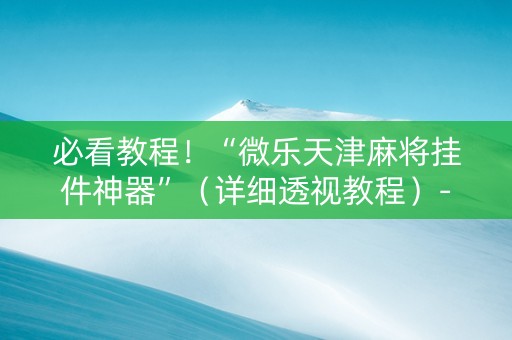 必看教程！“微乐天津麻将挂件神器”（详细透视教程）-哔哩哔哩