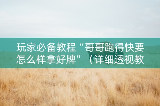 玩家必备教程“哥哥跑得快要怎么样拿好牌”（详细透视教程）-哔哩哔哩
