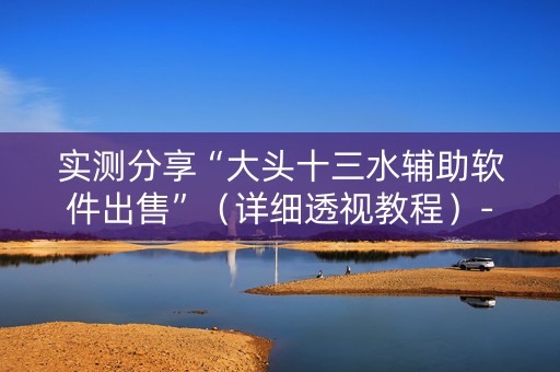 实测分享“大头十三水辅助软件出售”（详细透视教程）-哔哩哔哩
