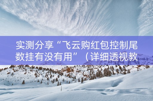 实测分享“飞云购红包控制尾数挂有没有用”（详细透视教程）-哔哩哔哩
