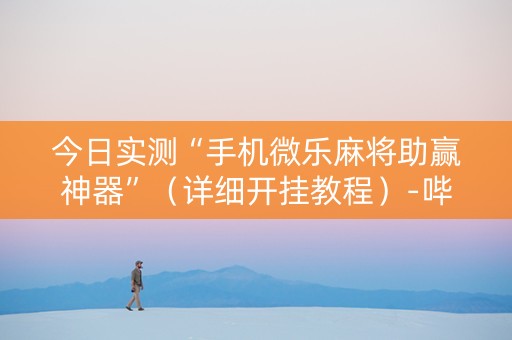 今日实测“手机微乐麻将助赢神器”（详细开挂教程）-哔哩哔哩
