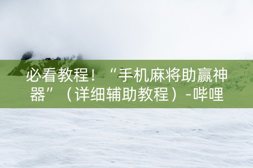 必看教程！“手机麻将助赢神器”（详细辅助教程）-哔哩哔哩