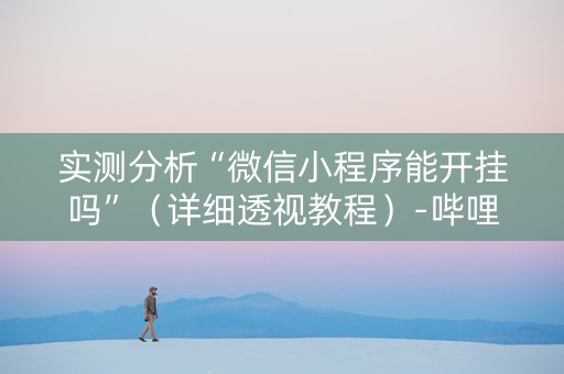 实测分析“微信小程序能开挂吗”（详细透视教程）-哔哩哔哩