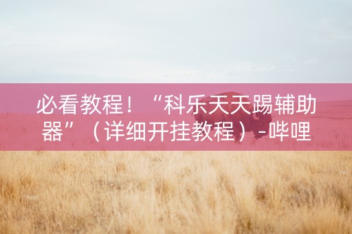 必看教程！“科乐天天踢辅助器”（详细开挂教程）-哔哩哔哩