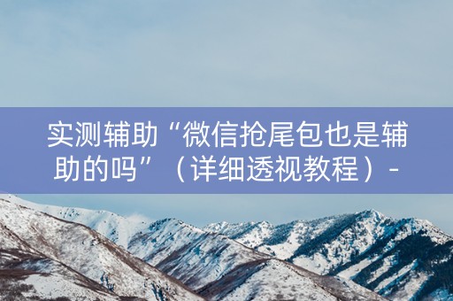 实测辅助“微信抢尾包也是辅助的吗”（详细透视教程）-哔哩哔哩
