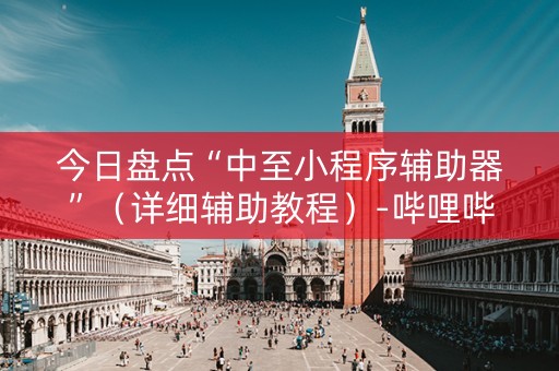 今日盘点“中至小程序辅助器”（详细辅助教程）-哔哩哔哩