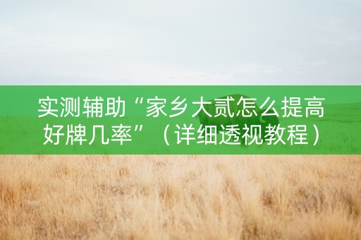 实测辅助“家乡大贰怎么提高好牌几率”（详细透视教程）-哔哩哔哩