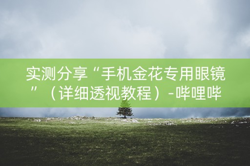 实测分享“手机金花专用眼镜”（详细透视教程）-哔哩哔哩