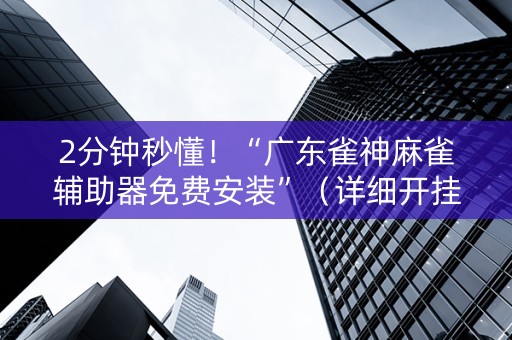 2分钟秒懂！“广东雀神麻雀辅助器免费安装”（详细开挂教程）-哔哩哔哩