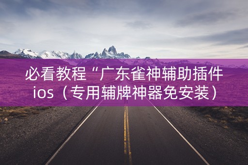 必看教程“广东雀神辅助插件ios（专用辅牌神器免安装）