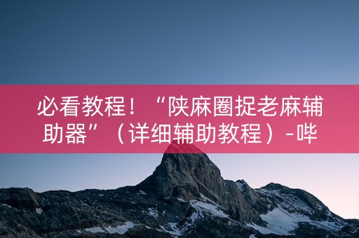 必看教程！“陕麻圈捉老麻辅助器”（详细辅助教程）-哔哩哔哩