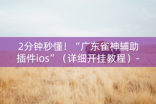 2分钟秒懂！“广东雀神辅助插件ios”（详细开挂教程）-哔哩哔哩
