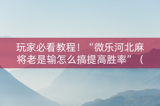 玩家必看教程！“微乐河北麻将老是输怎么搞提高胜率”（详细开挂教程）-哔哩哔哩